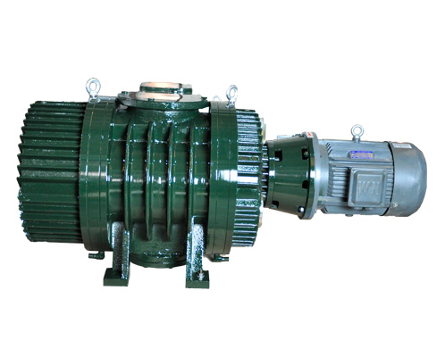 Series ZJY roots vacuum pumps